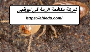 شركة مكافحة الرمة في ابوظبي