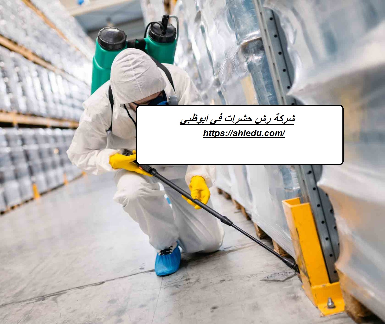 شركة رش حشرات في ابوظبي