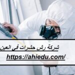 شركة رش حشرات في العين