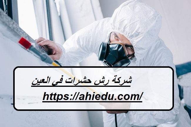 شركة رش حشرات في العين