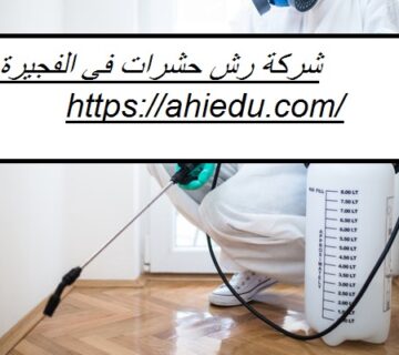 شركة رش حشرات في الفجيرة