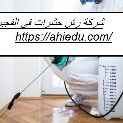 شركة رش حشرات في الفجيرة