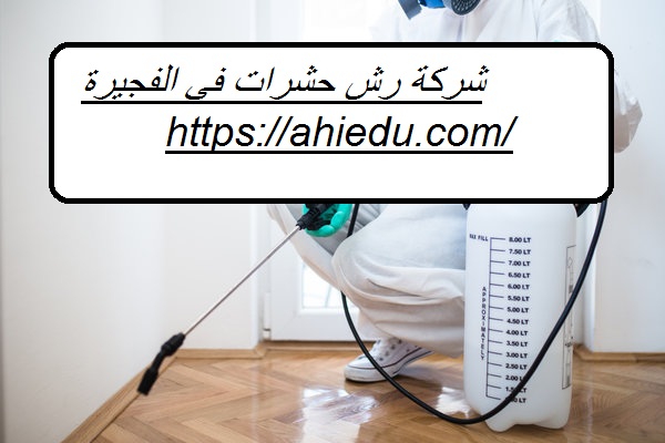 شركة رش حشرات في الفجيرة