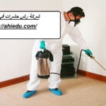 شركة رش حشرات في راس الخيمة