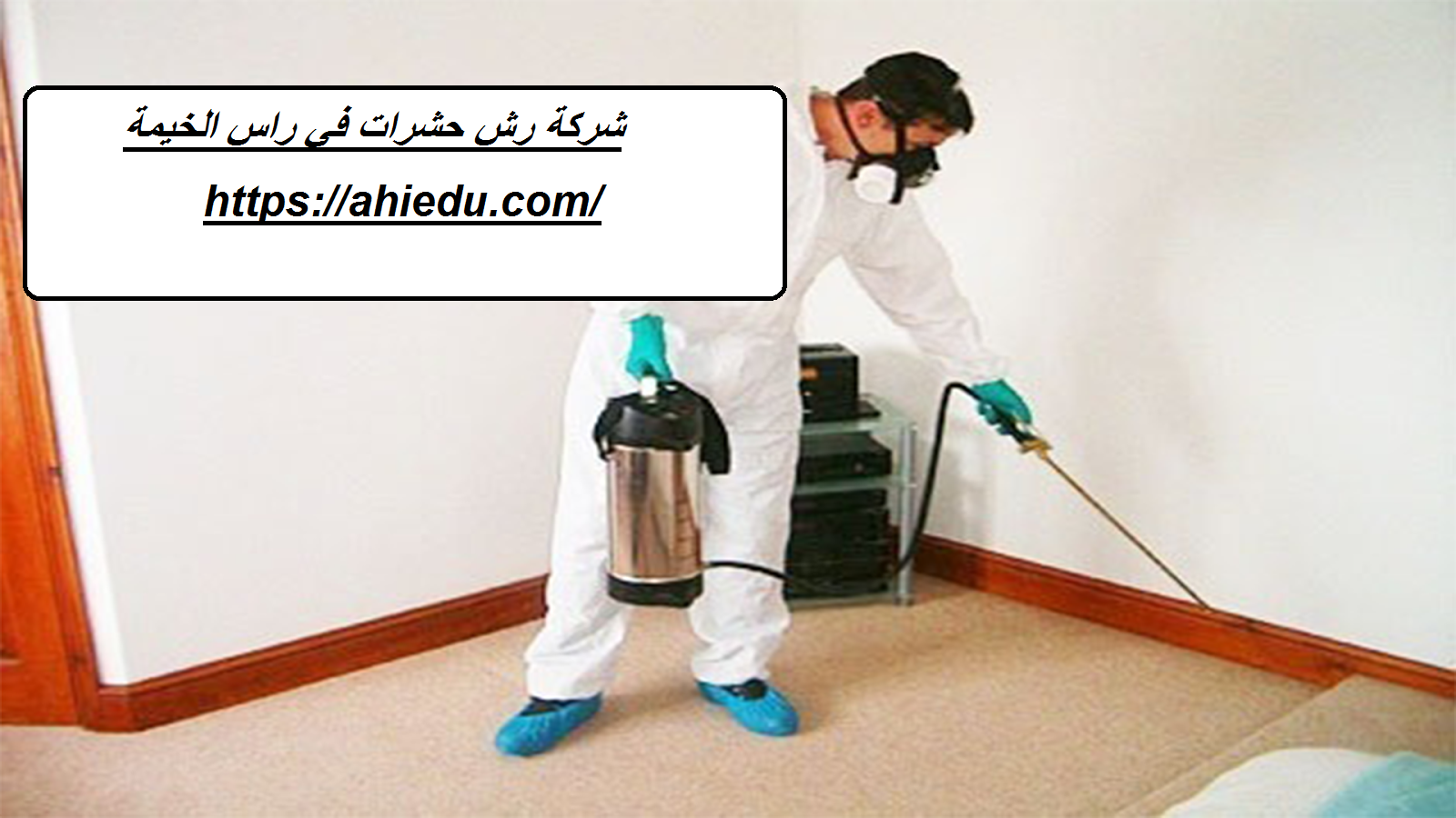 شركة رش حشرات في راس الخيمة