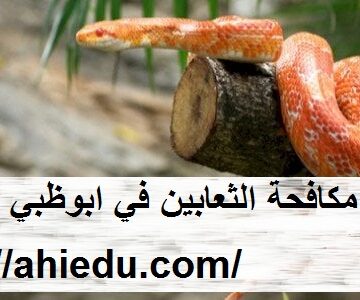 شركة مكافحة الثعابين في ابوظبي