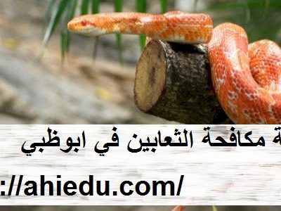 شركة مكافحة الثعابين في ابوظبي
