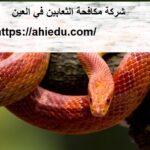 شركة مكافحة الثعابين في العين