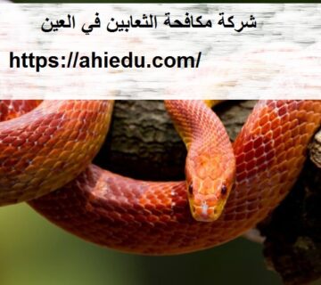 شركة مكافحة الثعابين في العين