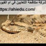 شركة مكافحة الثعابين في ام القيوين