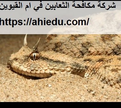 شركة مكافحة الثعابين في ام القيوين