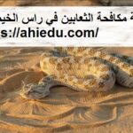 شركة مكافحة الثعابين في راس الخيمة