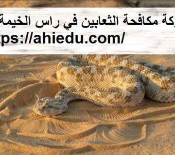 شركة مكافحة الثعابين في راس الخيمة