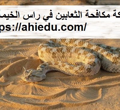 شركة مكافحة الثعابين في راس الخيمة