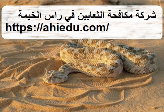 شركة مكافحة الثعابين في راس الخيمة