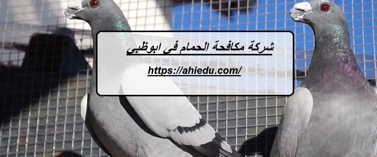 شركة مكافحة الحمام في ابوظبي