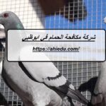 شركة مكافحة الحمام في ابوظبي