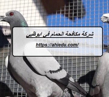 شركة مكافحة الحمام في ابوظبي