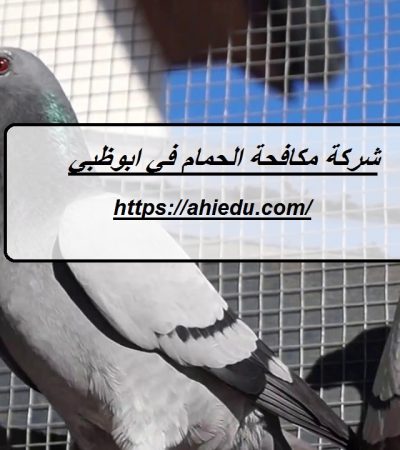 شركة مكافحة الحمام في ابوظبي