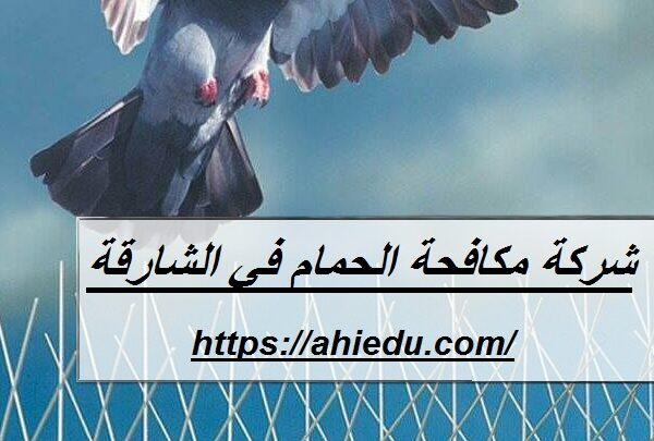 شركة مكافحة الحمام في الشارقة شركة مكافحة الحمام في الشارقة