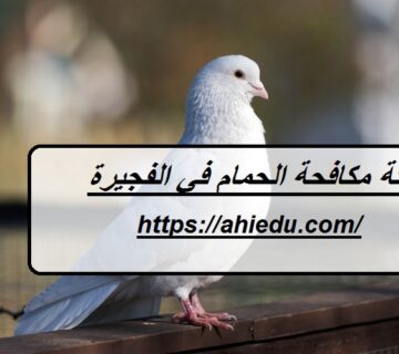 شركة مكافحة الحمام في الفجيرة