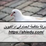 شركة مكافحة الحمام في ام القيوين