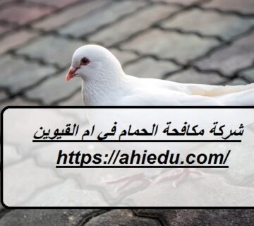 شركة مكافحة الحمام في ام القيوين