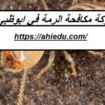 شركة مكافحة الرمة في ابوظبي