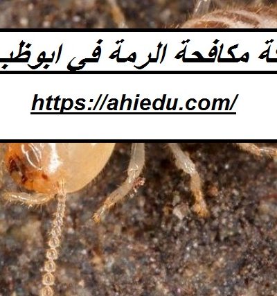 شركة مكافحة الرمة في ابوظبي