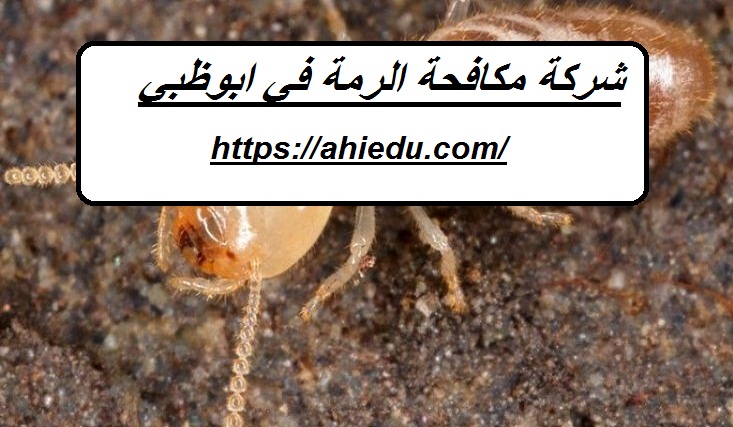 شركة مكافحة الرمة في ابوظبي