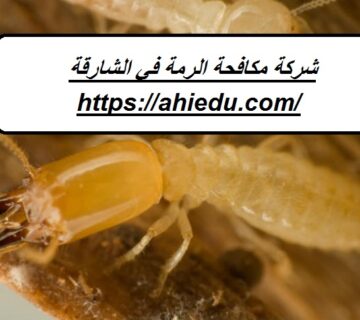 شركة مكافحة الرمة في الشارقة