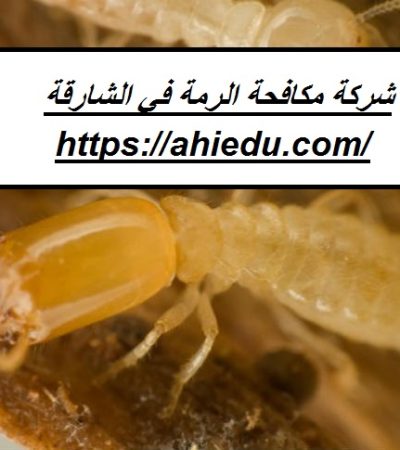 شركة مكافحة الرمة في الشارقة