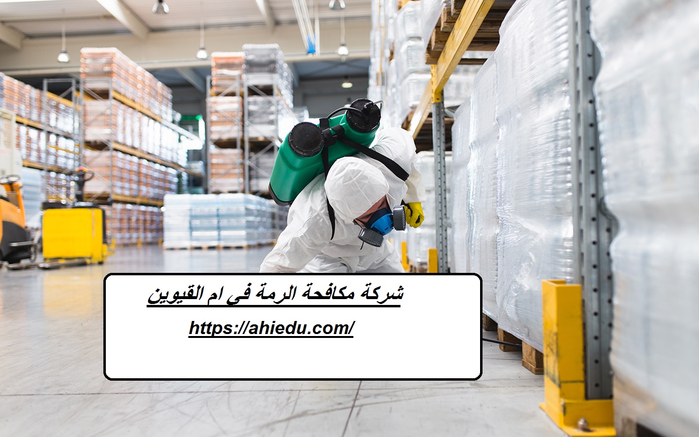 شركة مكافحة الرمة في ام القيوين