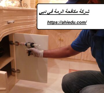 شركة مكافحة الرمة في دبي