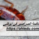 شركة مكافحة الصراصير في ابوظبي