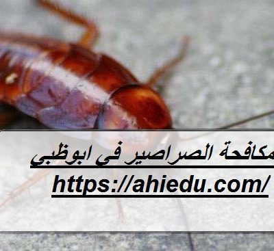 شركة مكافحة الصراصير في ابوظبي