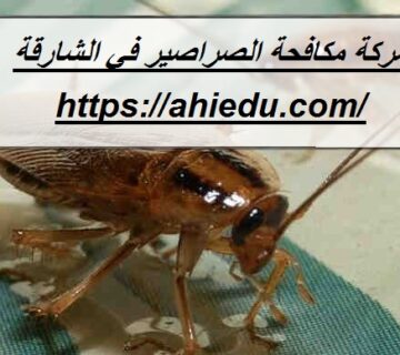 شركة مكافحة الصراصير في الشارقة