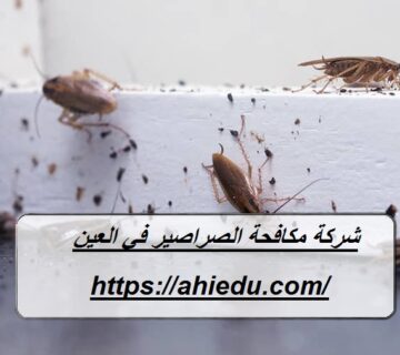 شركة مكافحة الصراصير في العين