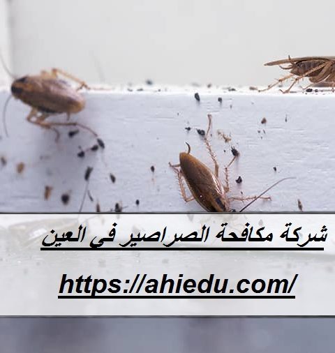 شركة مكافحة الصراصير في العين شركة مكافحة الصراصير في العين