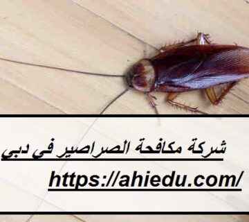 شركة مكافحة الصراصير في دبي