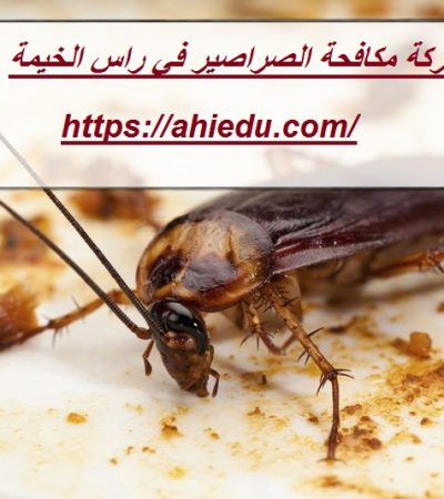 شركة مكافحة الصراصير في راس الخيمة
