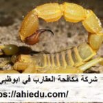 شركة مكافحة العقارب في ابوظبي