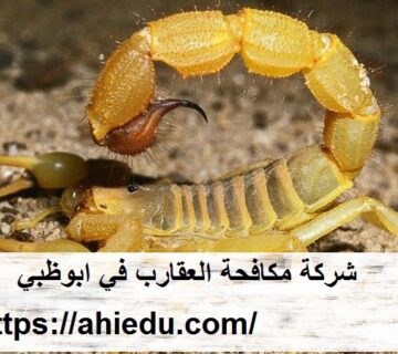 شركة مكافحة العقارب في ابوظبي