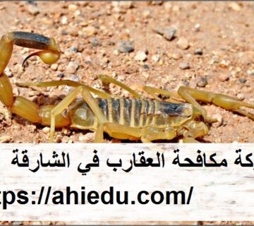 شركة مكافحة العقارب في الشارقة