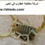 شركة مكافحة العقارب في العين