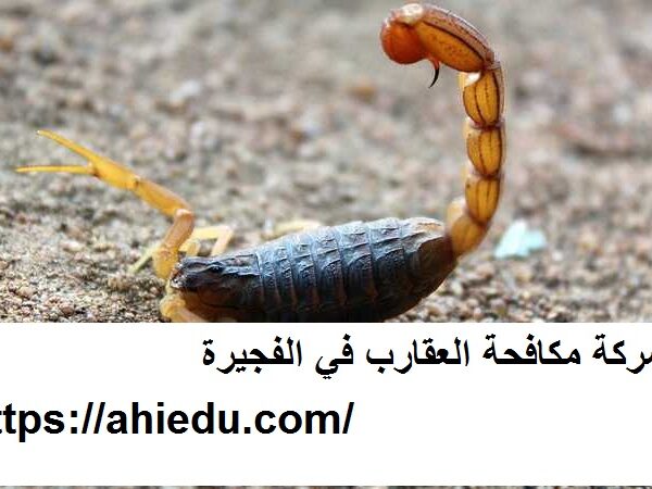 شركة مكافحة العقارب في الفجيرة شركة مكافحة العقارب في الفجيرة