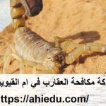 شركة مكافحة العقارب في ام القيوين