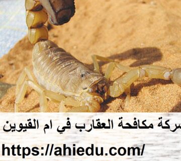 شركة مكافحة العقارب في ام القيوين