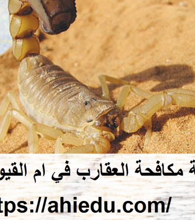 شركة مكافحة العقارب في ام القيوين