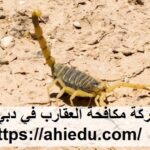 شركة مكافحة العقارب في دبي